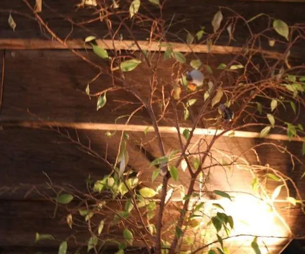 酒店 Einzigartige 140qm Loft Fur Familie Und Freunde - Am Spree!